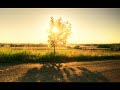 Barcode Brothers - Dooh Dooh (Darude Vs JS16 Remix)