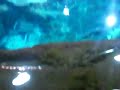 CIMG1061