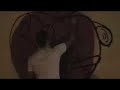 The alessandro cocchia's video  live graffito 