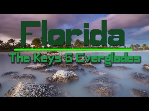 Photography in the Florida Keys and Everglades National Park