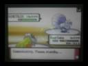 Pokemon Battle #1. Vs Spearfrost Pokemon Battle #1. Vs Spearfrost
