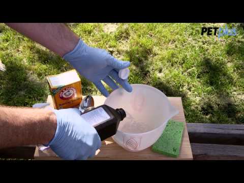 how to eliminate skunk odor