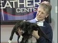 Pet Of The Week: Buddy & Doby