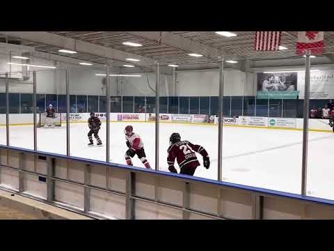 20221104 Bat Puck and Shot