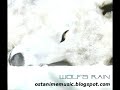 Wolf\