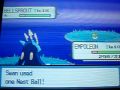 Shiny Bellsprout with Pokeradar Shiny Bellsprout with Pokeradar