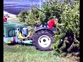 caccia al lavoro sul new holland dossobuono