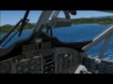 TFFJ Arrival