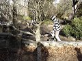 Unicycle Madness - Ashland, Oregon