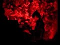 Ryan Adams \"The Rescue Blues\"