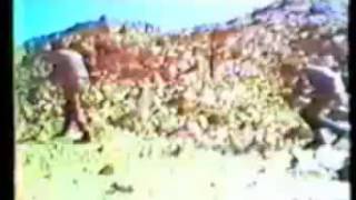 تل الزعتر- تفاصيل مجزرة