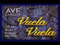 vuela vuela magneto