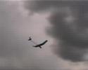 StiroFly sailplane