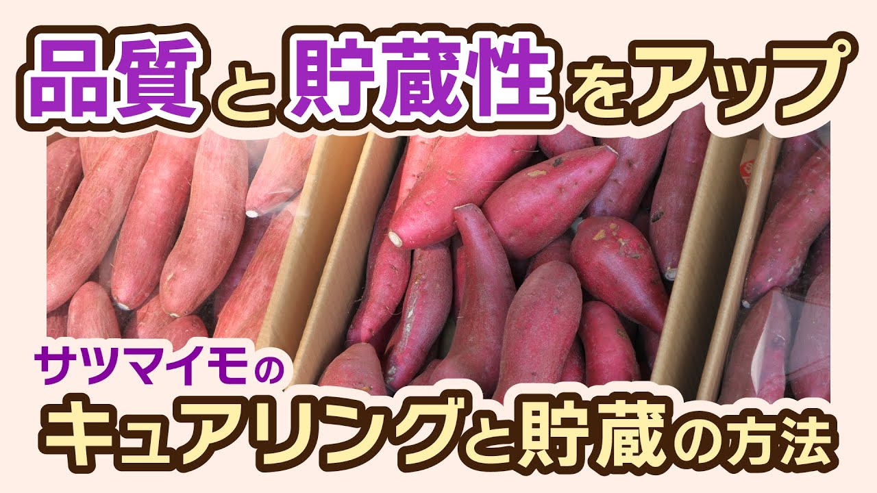 株式会社ニッポー YouTubeサムネイル