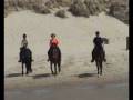 arnold met zijn paard op het strand