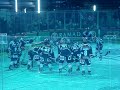 eisb�ren berlin
