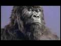 Cadburys Drumming Ape REMIX - Warp Brothers