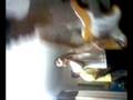 videos de supersonic.mp4