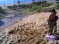 yassine parkour