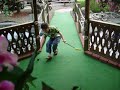 Slam dunk golf.  The boy\