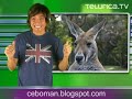 Airbag para ancianos, gorditos y Super Canguro | Telurica 486