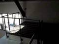 apt dogpatch