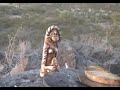 peyote trip peyote trip