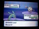pokemon battle in route 228