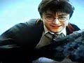 Harry Potter Don\