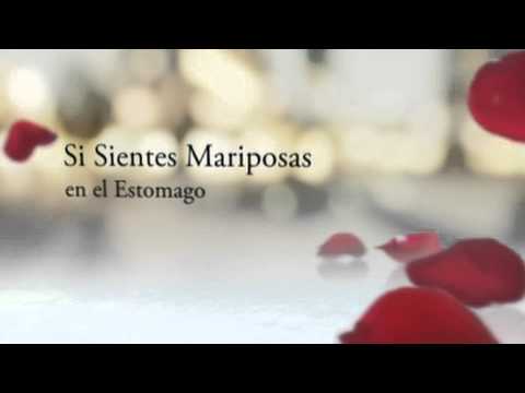 0 Videos Promocionales