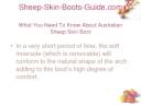 Sheep-Skin-Boots-Guide.com - What You Need to Know About Australian Sheep Skin Boot
