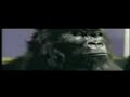 Gorilla Plays The Drums