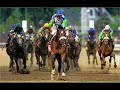 Happy Birthday Barbaro Happy Birthday Barbaro