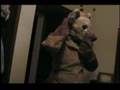 fursuits and amateur radio part II