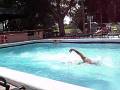 videos de swim race