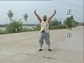 Jin Tong Xiao Luohan Quan - from Liu Zhen Hai