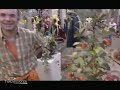 La fête des plantes de Saint-Jean-de-Beauregard (Essonne)