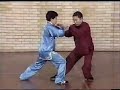 Taiji Push Hands - Fu shengyuan II