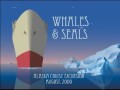Whales & Seals