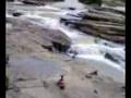 windom fall