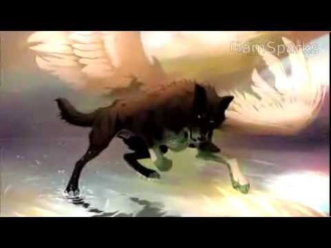 how to train escapists