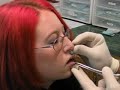 Vertical Labret Vertical Labret