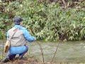 岩手の源流の風景とイワナ釣りの様子です。