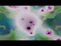 Infusion by raYTurner