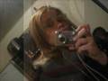 videos de BOND PONTA A PONTA GIRL'S