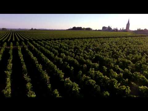 Lauréat CREAG 33 - Wine DnA Lauréat CREAG 33 - Wine DnA