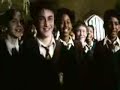 Harry Potter - Shake, Shake, Shake, Senora