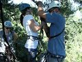 T Lo zip linein2