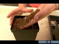How To Grow Cactus And Succulent Plants : Cactus and Succulent Plant Potting Mix Tips