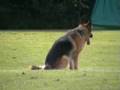Telma-van-Zante-VH3-